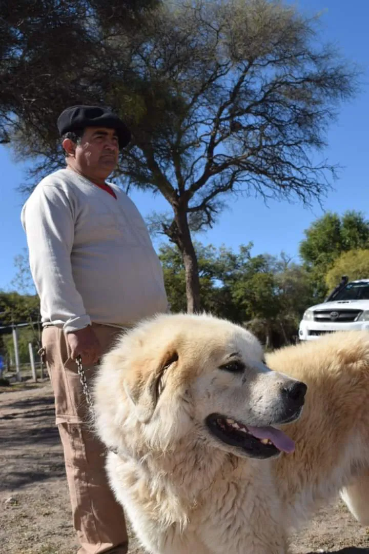 FB_IMG_1713984115984