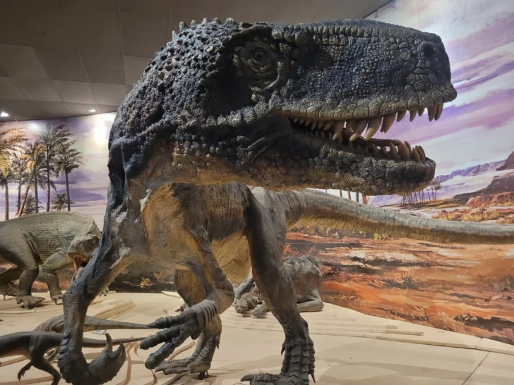 Ischigualasto-Valle-de-la-Luna-dinosaurios-9-728x546