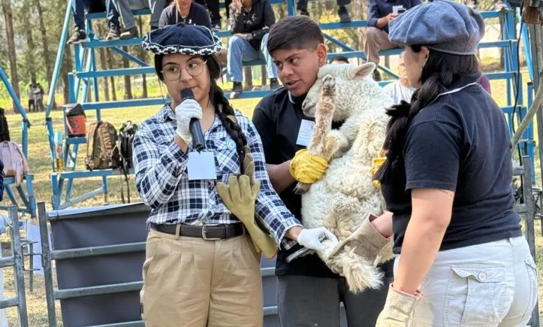 Imagen-de-WhatsApp-2025-09-26-a-las-07.56.59_26e6cdb9-780x470