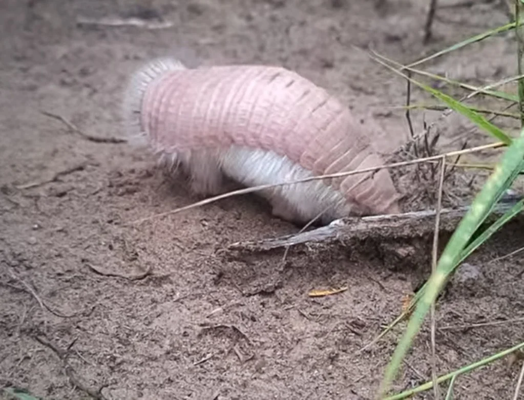 55152903693_c79364b034_b