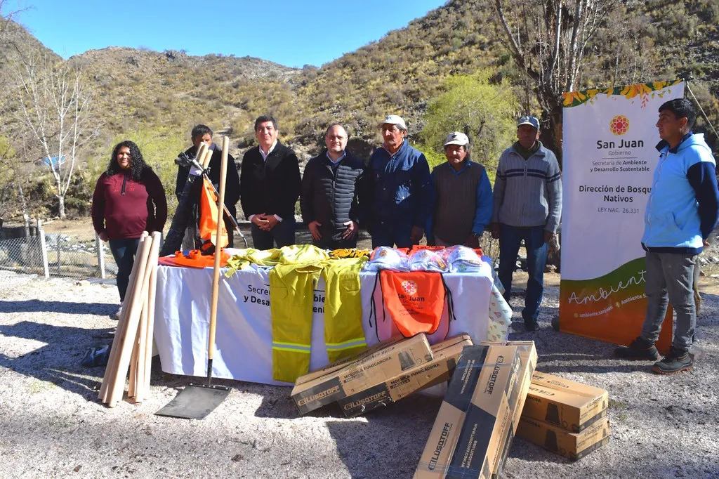 54782386049_5db7f787db_b