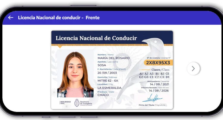 licencia_de_conducir_mesa_de_trabajo_1-750x404