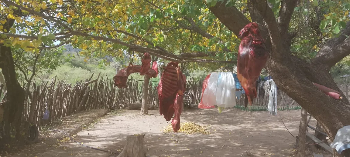 90db0bd5-be64-40f6-ad2e-43404564867a