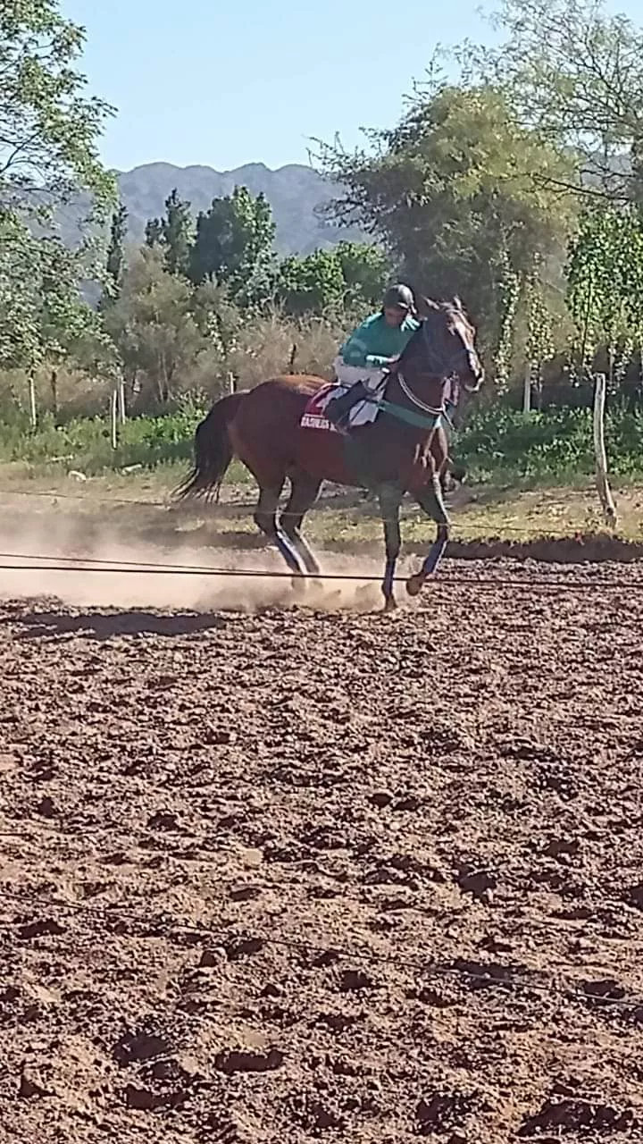 FB_IMG_1666484763117