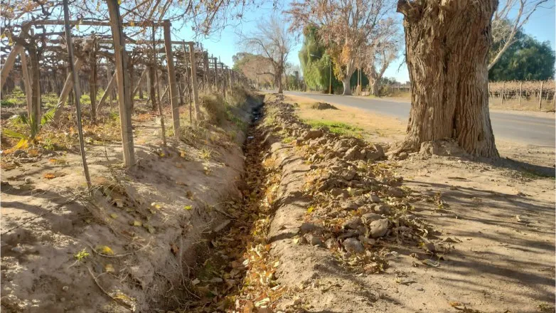 019fe559905bece6a734298b2c98fb29_L