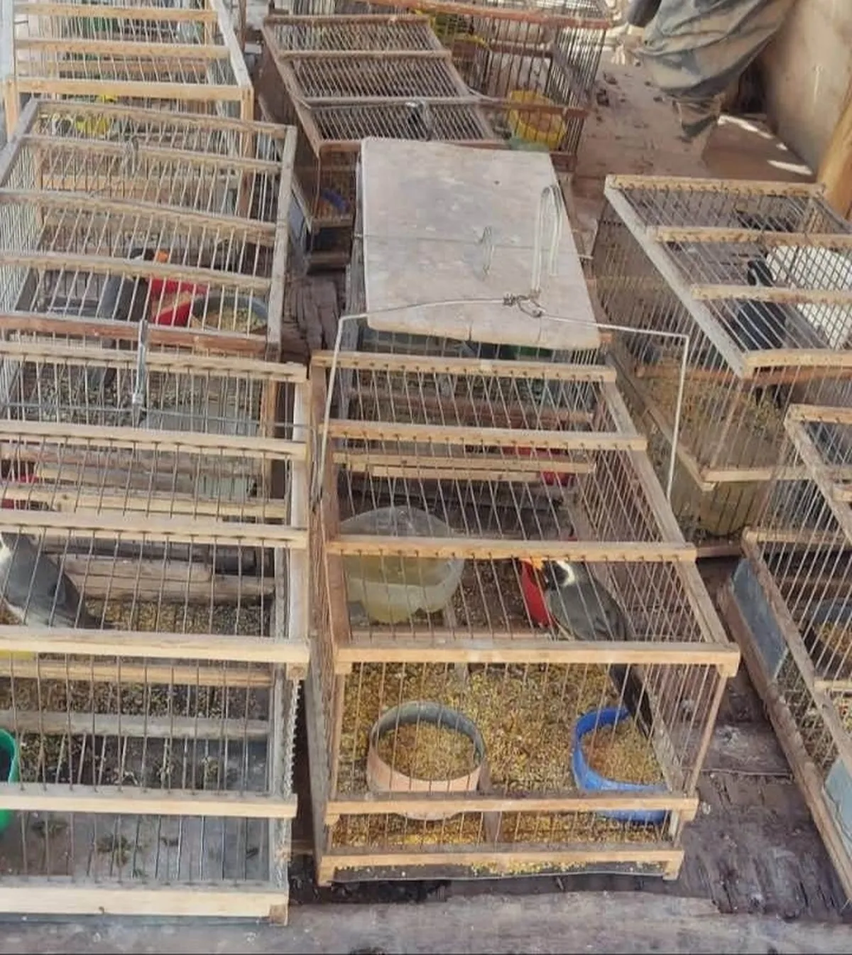 image - 2026-01-27T212852.160