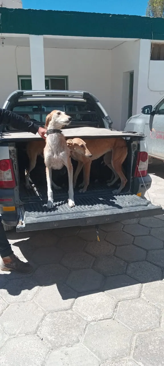 53dcaaff-0943-40ea-b6a3-d39975c7779f