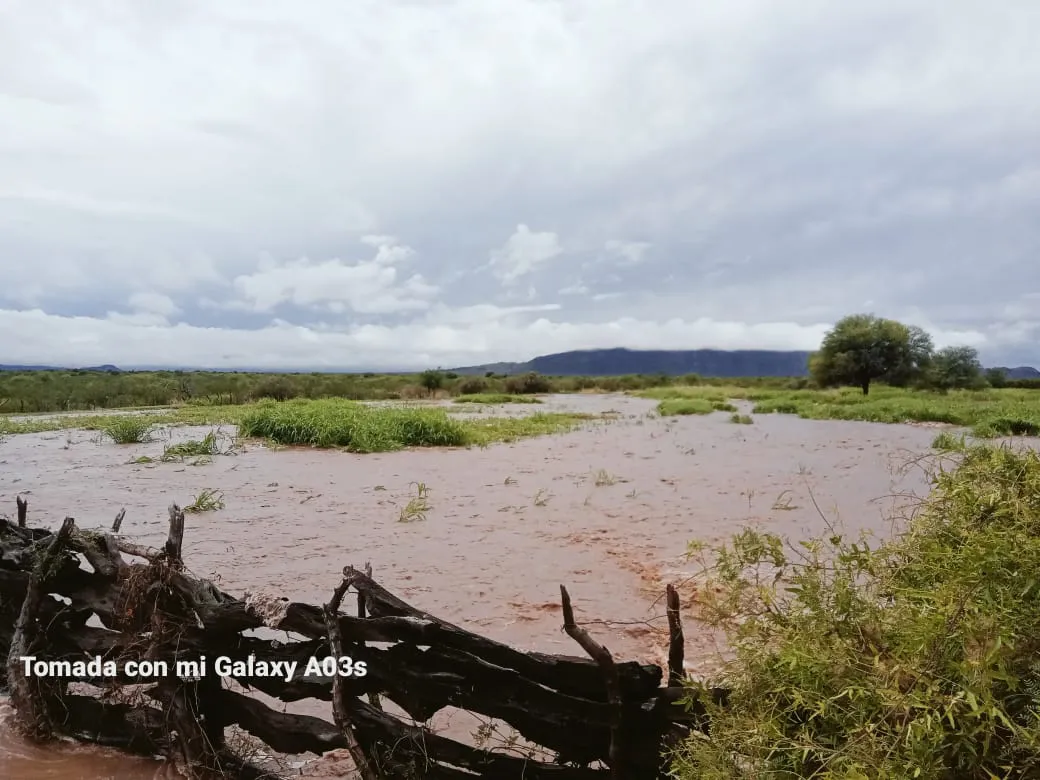 a0abe750-08f5-4fe4-8859-579ee44c8232