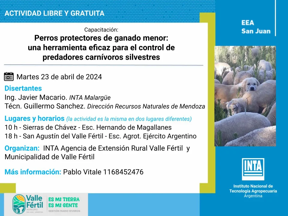 435662472_734859142169443_4222520719629646659_n