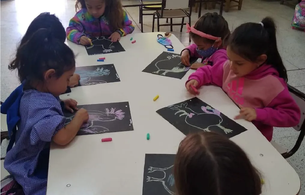 52351035638_3c4af4782f_b