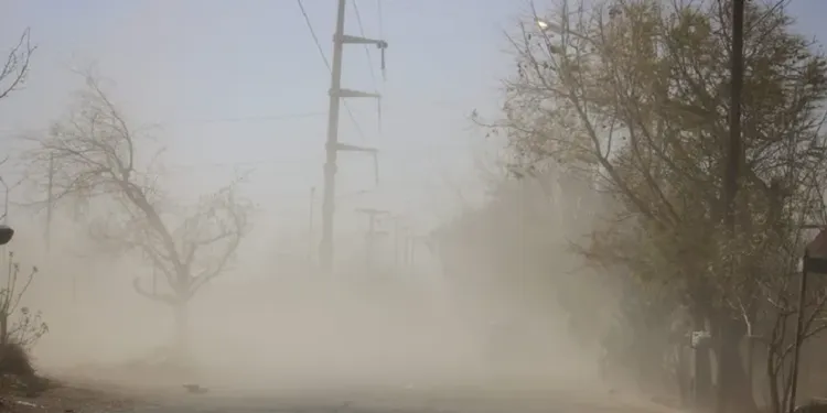 vientojpg_copy_1200x675_1-750x375