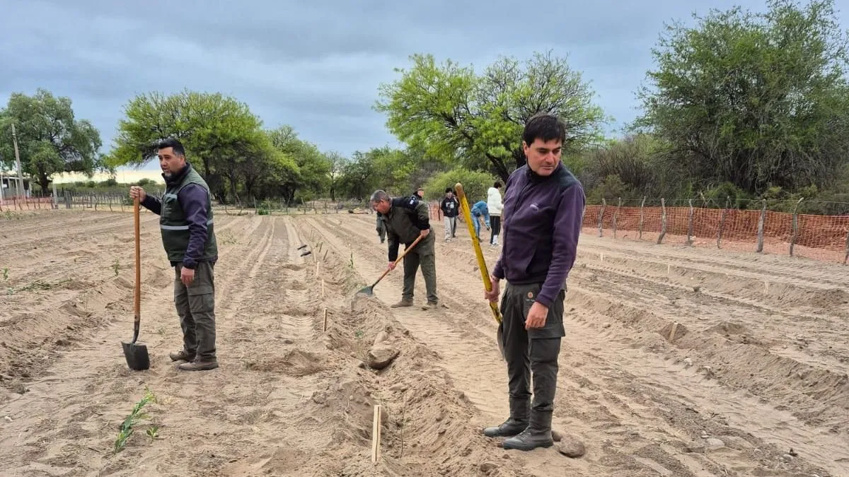 db9fa3be-f41f-4836-b9c2-9725525240ee-jpeg.