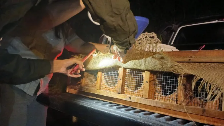 3b4c055aa9ac1c1fd374b568e1c50738_L