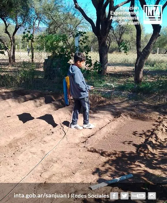 FB_IMG_1712699010989