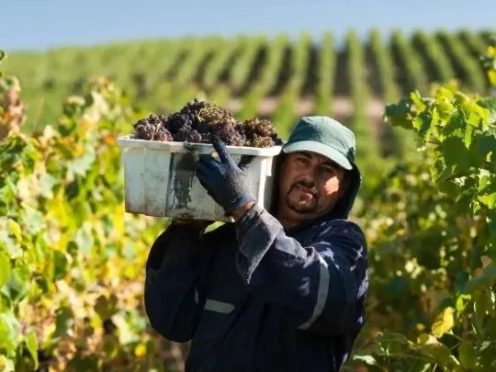 md - 2025-11-07T110125.780