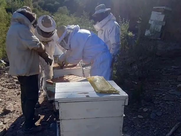 481568037_18374032192185573_3122309942192123588_n