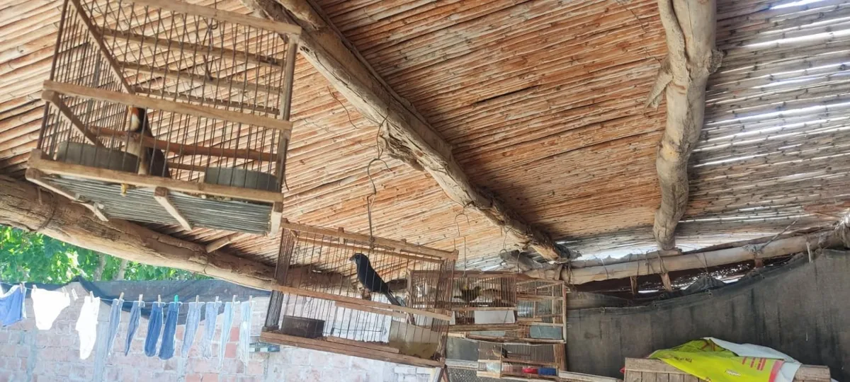 image - 2026-01-27T212848.983