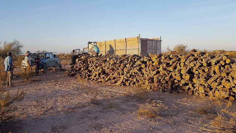 b4e45d70655fb708eb982278bff16c04_L