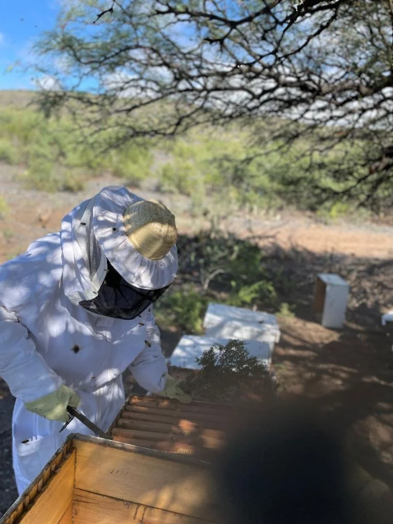 f768x1-404556_404683_5050