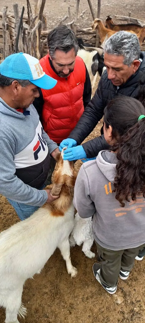 574581157_1254969993324621_8008038431747710191_n