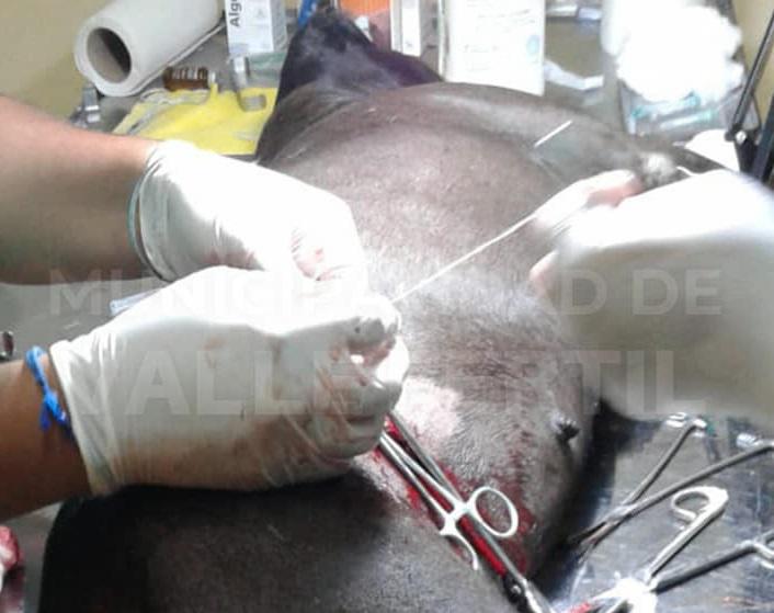 276027028_342965157858447_2942751675715049626_n