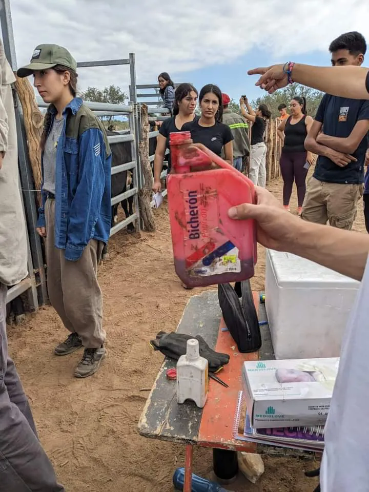 FB_IMG_1711403596038