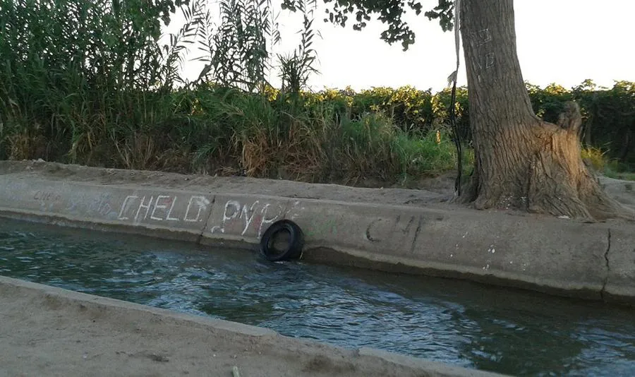 multimedia.normal.98d927473b348bad.63616e616c2062656e61766964657a5f6e6f726d616c2e6a7067