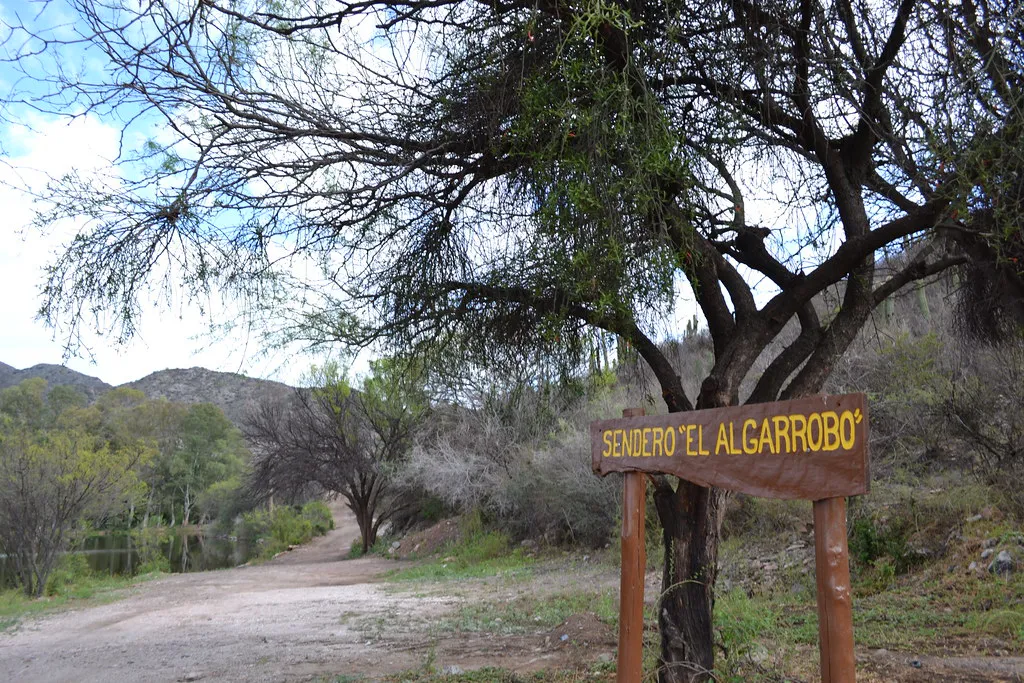 51652379461_e15bd33aaf_b