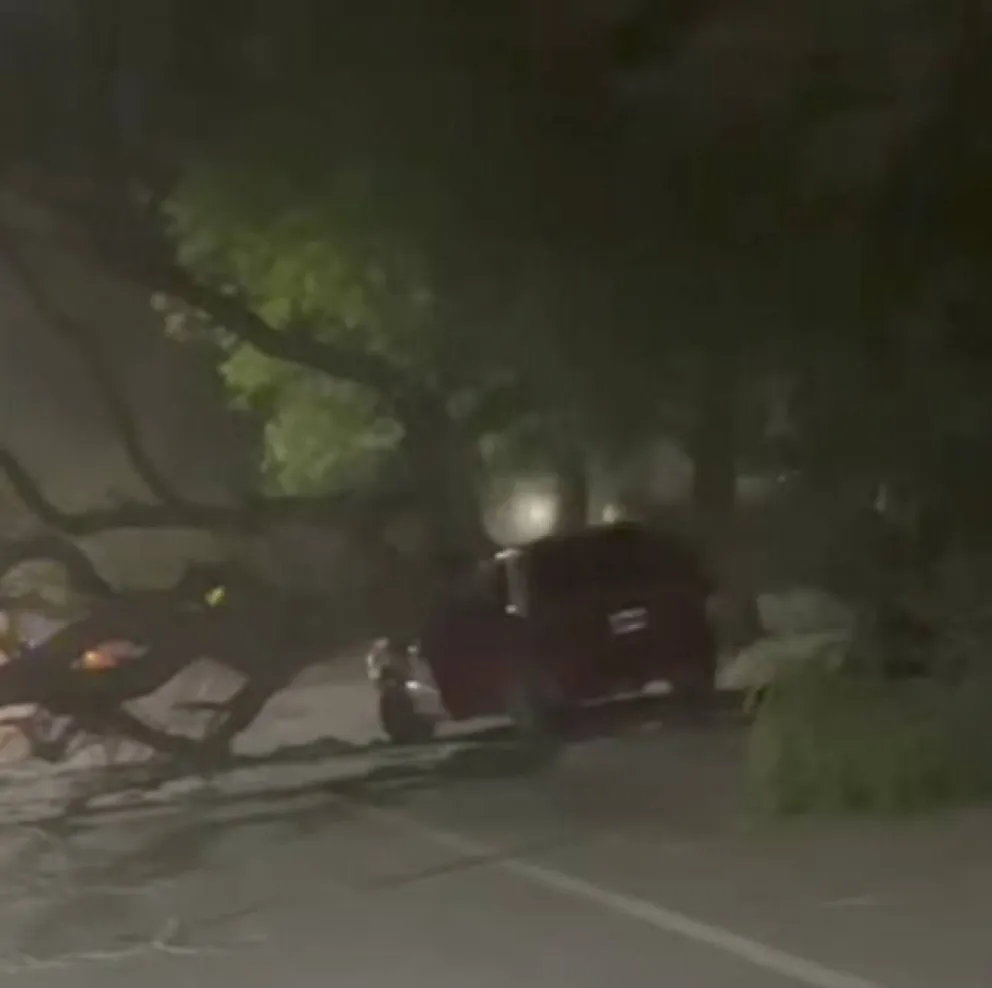 md - 2025-11-01T120234.623