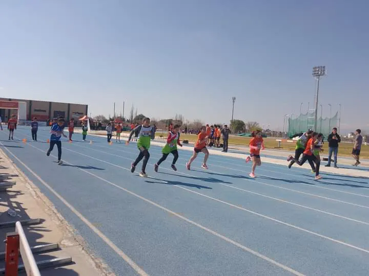 FB_IMG_1725306269584