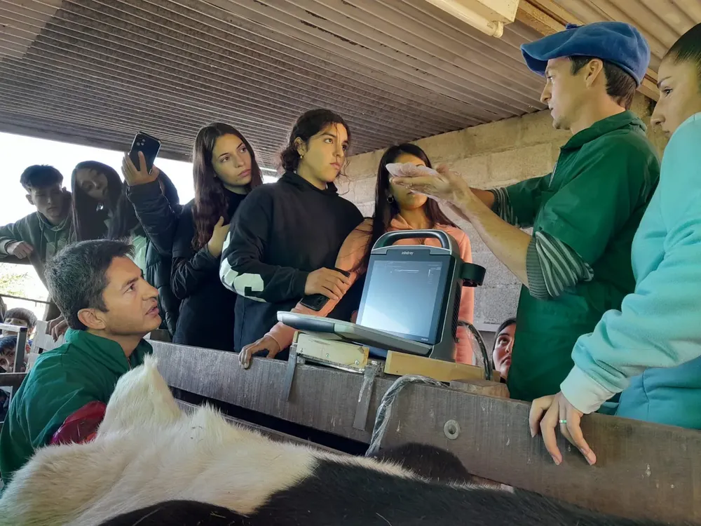 cf5178d7-d5d2-4b36-aa55-d98e5d0d9421