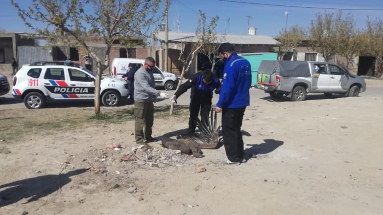 ffcc55e7d0267134acf8254977ebd9e1_L