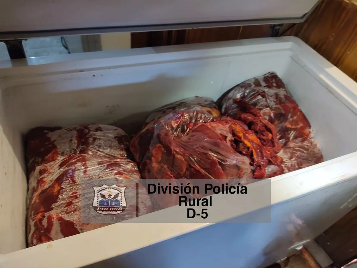 carne-cadena-friojpeg