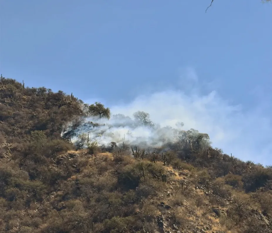 545439463_17890164552344414_5331569419117553852_n