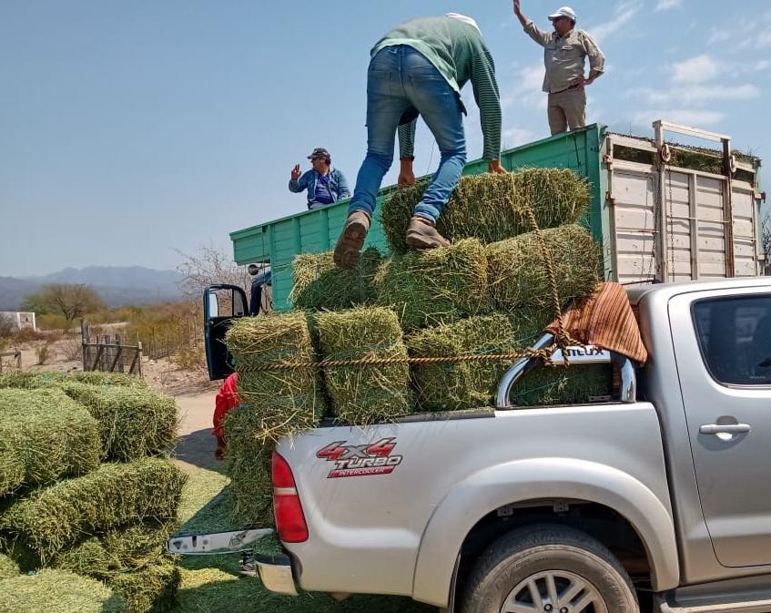 multimedia.normal.ad7030334c10f5ef.3132333736363931375f333535303138363135353032343536345f33353230345f6e6f726d616c2e6a7067